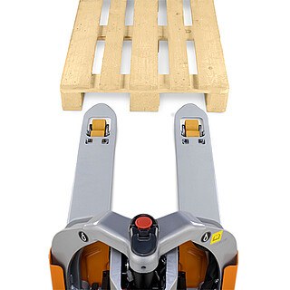 ECH 12
